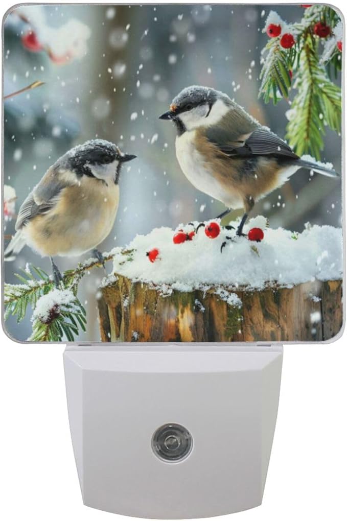 Aslsiy Night Light for Kids Winter Birds Snowy Day Plug in Wall Lamp LED Dusk to Dawn Sensor Energy Saving Nightlight for Boys Girls Men Women