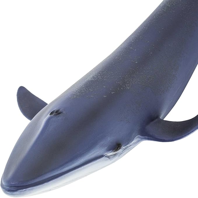 Safari Ltd. Blue Whale Figurine - Detailed 11" Plastic Model Figure - Fun Educational Play Toy for Boys, Girls & Kids Ages 3+