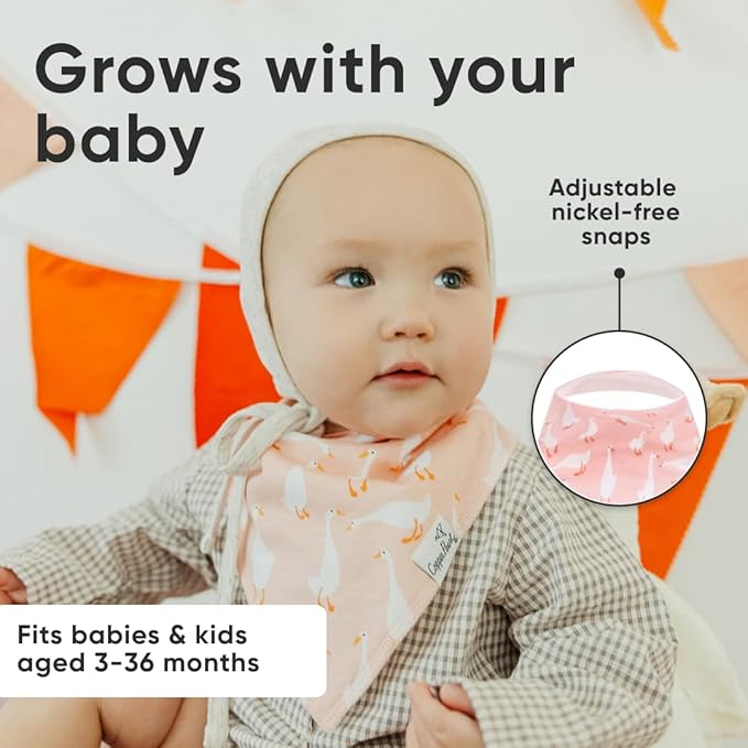 Copper Pearl 4 Pack Soft Cotton Baby Bibs for Drooling and Teething, Absorbent Drool Bibs for Baby Girl and Boy, Adjustable to Fit Newborns to Toddlers, Tons of Styles (Goosie)