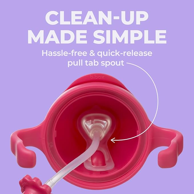b.box + Lansinoh Weighted Straw Sippy Cup for Babies 6 Months+ (2 Pack)| Leak‑Proof, BPA‑Free, 8 oz Toddler Cup | Drink From Any Angle | Easy Grip, Dishwasher Safe | Tutti Frutti + Raspberry