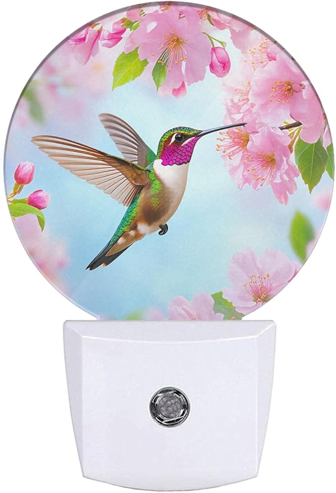 EKOBLA Bird Night Light Spring Hummingbird Pink Flowers Cherry Blossoms Night Lights Plug into Wall Auto on/Off, Indoor Plug-in Wall Light Sleep Friendly for Boys Girls Seniors Elderly