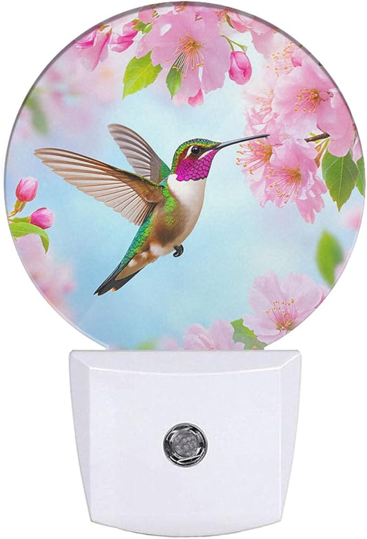 EKOBLA Bird Night Light Spring Hummingbird Pink Flowers Cherry Blossoms Night Lights Plug into Wall Auto on/Off, Indoor Plug-in Wall Light Sleep Friendly for Boys Girls Seniors Elderly