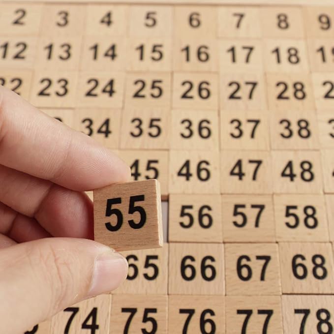 Wooden Hundred Board Montessori Math Counting Toys, 1-100 Numbers Kindergarten Preschool Learning Educational Game for Toddler Kids (Hundred Board)