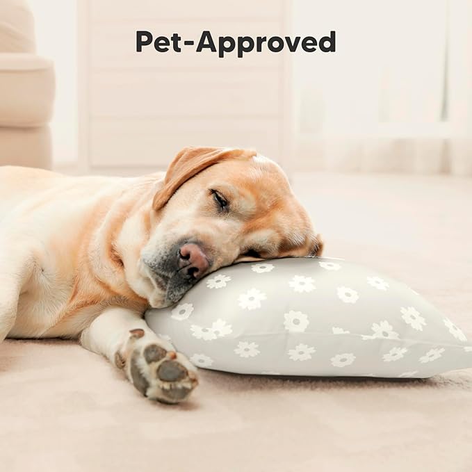 Toddler Pillow with Pillowcase - 13x18 My Little Cuddly Pillow, Viscose Derived From Bamboo Nursery Toddler Pillows for Sleeping,Kids Pillow,Small Travel Pillows,Mini Toddler Bed Pillow (Meadow)