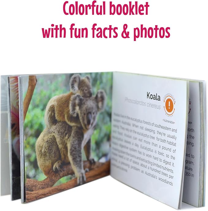 Menique Wild Animals Memory Matching Game – 80 Cards (40 Pairs) with Real Photos – Includes Educational Booklet with Animal Facts – Fun & Cognitive Game for Kids and Adults