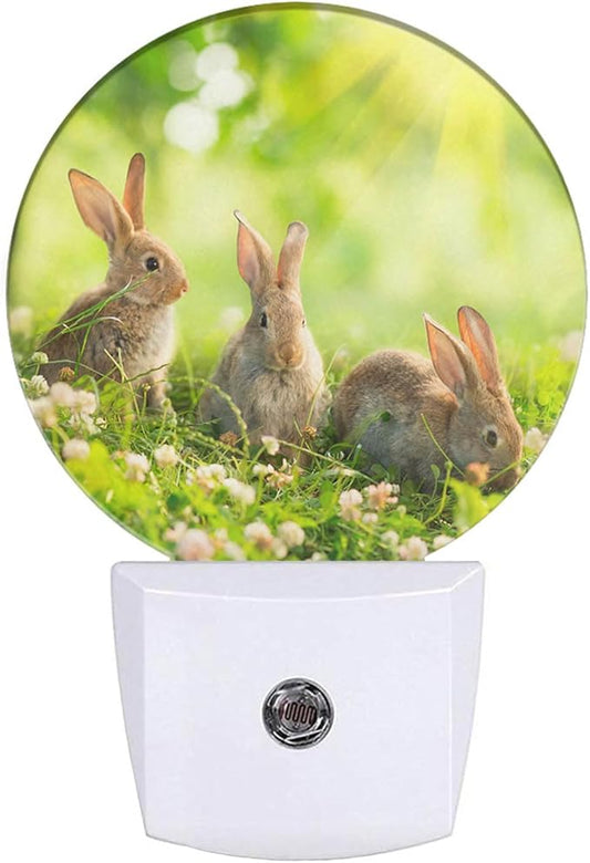 Easter Bunny Nightlight Cute Rabbits in Meadow Plug-in Nightlight Energy Saving 0.5W LED Lighting for Boys Girls Men Women Gift