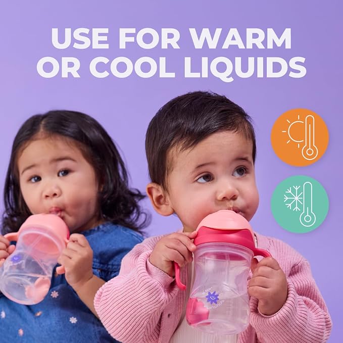 b.box + Lansinoh Weighted Straw Sippy Cup for Babies 6 Months+ (2 Pack)| Leak‑Proof, BPA‑Free, 8 oz Toddler Cup | Drink From Any Angle | Easy Grip, Dishwasher Safe | Tutti Frutti + Raspberry