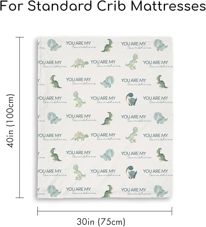 Dinosaur Baby Blankets for Boys, Super Soft Newborn Nursery Blanket with Double Layer Dotted Backing - Blue Babies Minky, Cozy Printed Bed Throw Blanket (30" x 40")