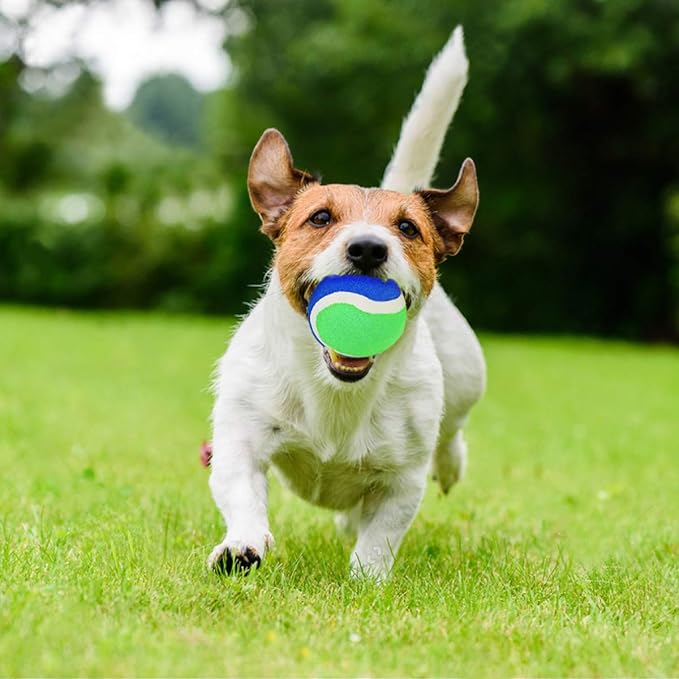 EVERICH Upgraded Toss and Catch Ball Game Set - Indoor and Outdoor Games for Kids 3-12, Beach Sand Pool Water Toy Includes 2 Paddles 2 Sticky Balls, Great Birthday Easter Gifts for Boys Girls
