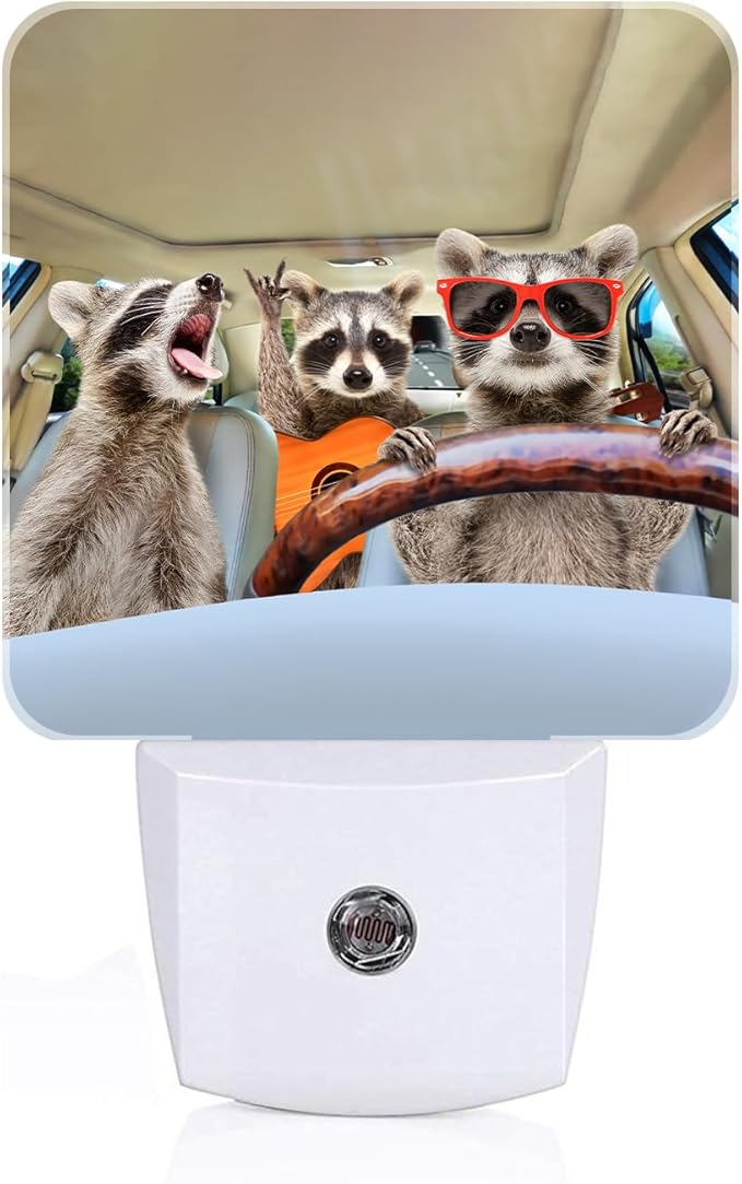 Three Cute Raccoons Night Light,Plug-in Nightlights Auto Sensor Night Lamp Dusk-to-Dawn Lamp Home Decor for Nursery Children Girls Boys