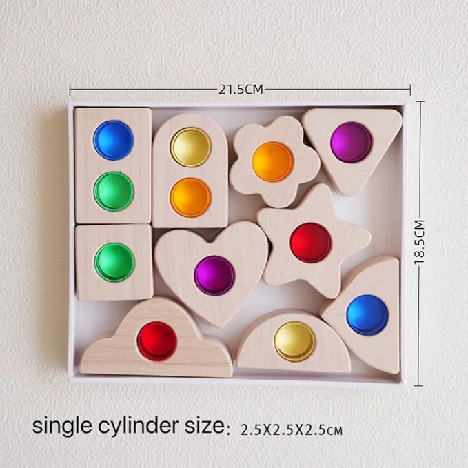 22PCS Wooden Colorful Acrylic Cylindrical Blocks Set, Acrylic Shape Inlay Toy Educational Light Shadow Construction Building Block Toy for Kids (22PCS Shape Inlay)