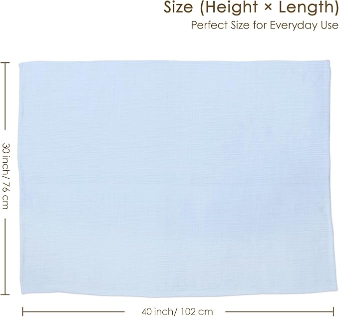 Baby Blankets for Boys, Soft Nursery Minky Blankets with Muslin and Dotted Fleece Back 30x40 inches, Receiving Bed Quilt for Newborn, Infants, Toddlers (Light Blue)