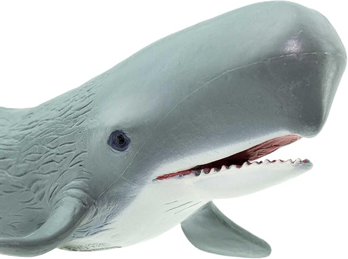 Safari Ltd. Sperm Whale Figurine - Detailed 8.5" Plastic Model Figure - Fun Educational Play Toy for Boys, Girls & Kids Ages 3+