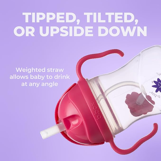 b.box + Lansinoh Weighted Straw Sippy Cup for Babies 6 Months+ (2 Pack)| Leak‑Proof, BPA‑Free, 8 oz Toddler Cup | Drink From Any Angle | Easy Grip, Dishwasher Safe | Tutti Frutti + Raspberry