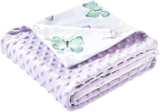 iEvolve Baby Nursery Bed Blankets Ultra Soft Double Layer Mini Blanket Minky Blanket Receiving Blankets Shower Gifts(30"*40",Butterfly)