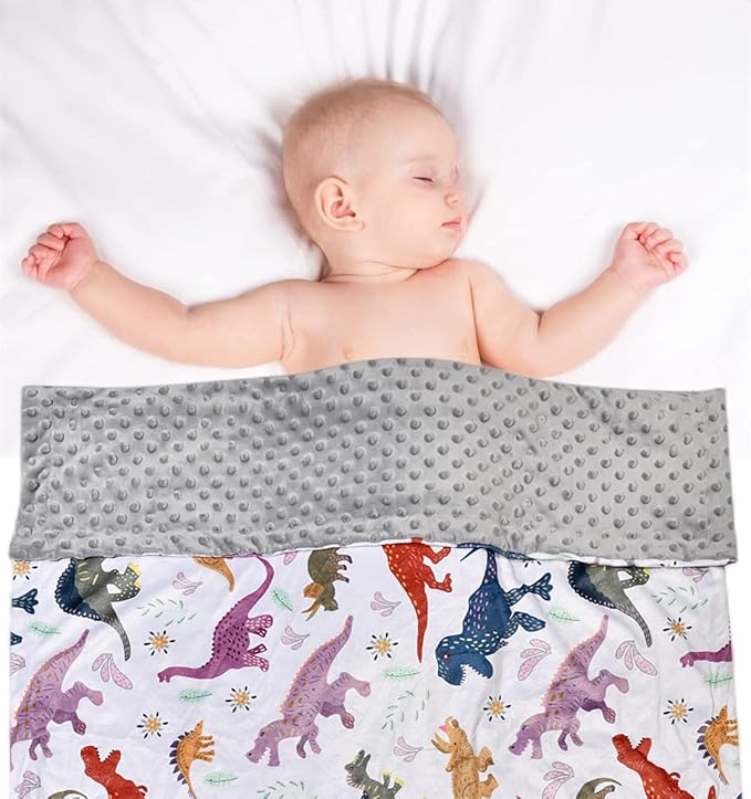 Baby Blanket, Soft Minky Warm Blanket for Boy or Girl, Receiving Blanket with Double Layer Dotted Backing for Newborns Nursery Stroller Toddlers Crib Bedding (30 x 40 Inch) Dinosaur