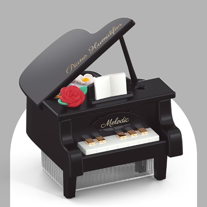 Portable Mini humidifie,350mL Cool Mist Humidifie,1200mAh Quiet for Home/Nursery/Office,Portable Mini Air Moisturizer,rechargeable mini humidifier (Black)