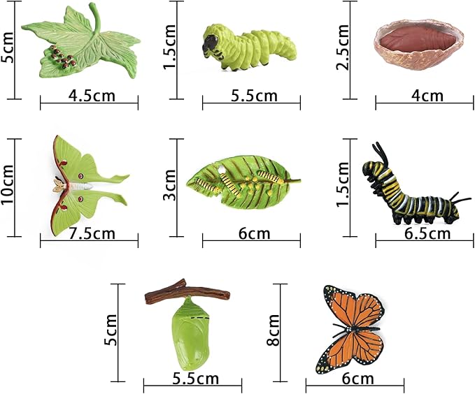 SIENON 8Pcs Butterfly and Actias Ningpoana Life Cycle Figures, Plastic Caterpillar to Monarch Butterfly Growth Toy Insect Playset for Kids Birthday Party Gift Biology Teaching Tools School Project