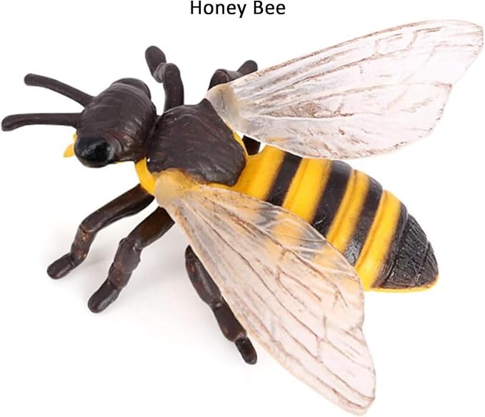 Hvogvok Bee Growth Cycle, Animal Growth Cycle Biological Model, Growth Stage Lifelike Bee Life Cycle Model Set for Kids Education Insect Themed Party Favors