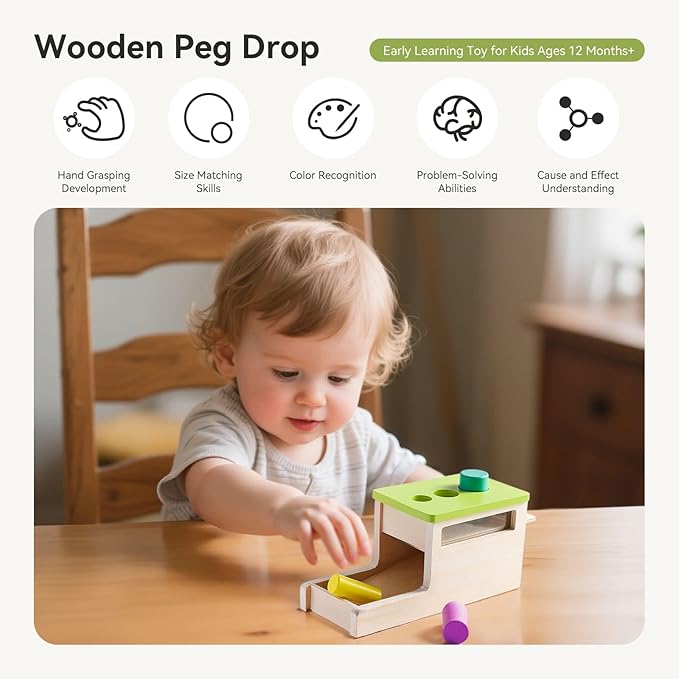 Montessori Wooden Peg Drop Toy | Educational Size Matching Game for Toddlers | Cylindrical Drop Box Toy with Transparent Viewing Window