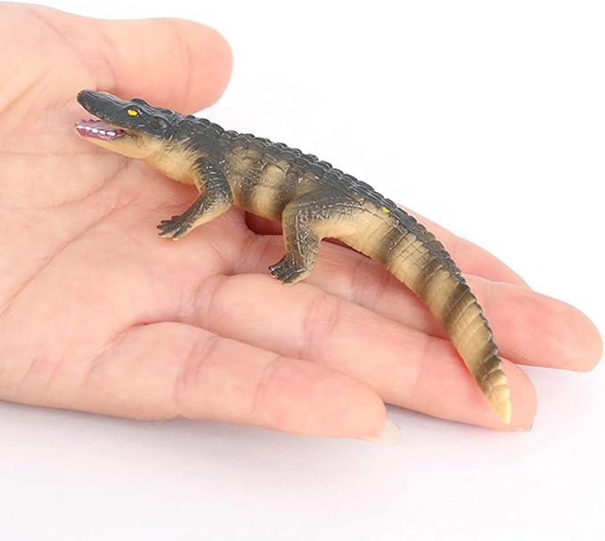 Crocodile Growth Cycle, Animal Growth Cycle Biological Model Toy Growth Stage Lifelike Crocodile Life Cycle Model Set for Kids Education Insect Themed Party Favors