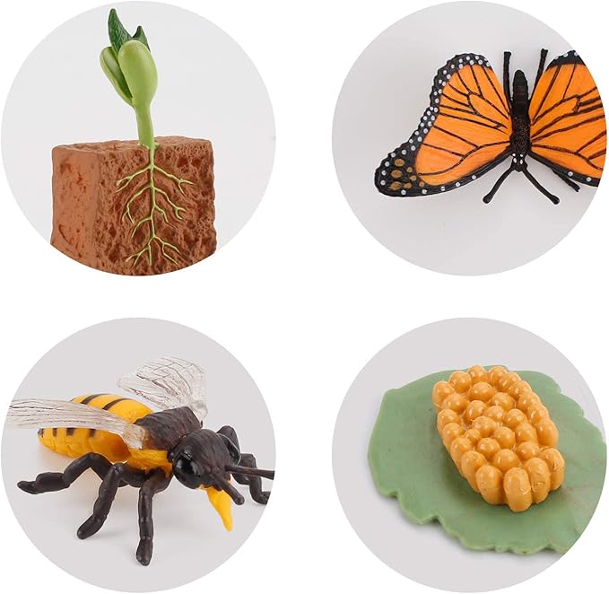 20 PCS Insect Animal Life Cycle Model Figure Plant Spider Bee Butterfly Figurines Ornament Cake Toppers Party Favors Supplies Cognitive Toy for Boys Girls Kids