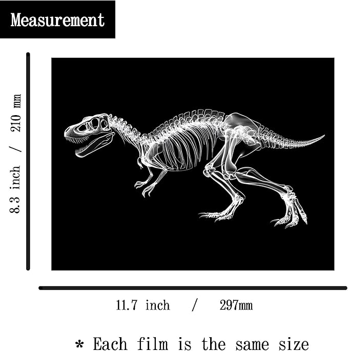 Animal X-Ray Set, Educational Science Kit, Light Table Accessory for Children (Dinosaurs)
