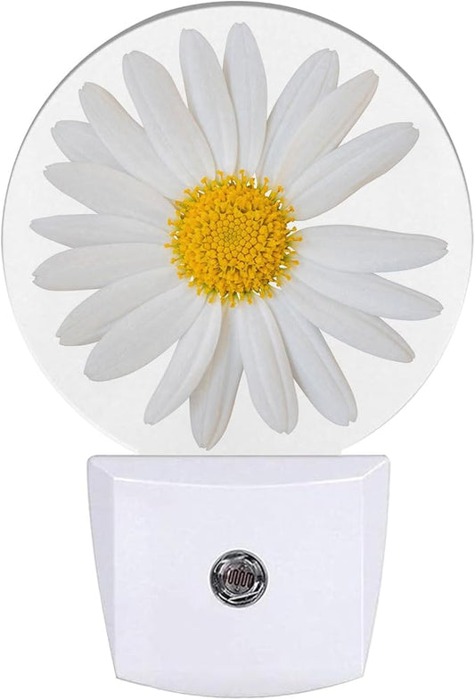Daisy Night Light Chamomile Night Lights LED Lamp Round Plug into Wall Nightlight with Dusk to Dawn Sensor Home Hallway Stairway Kitchen Decor