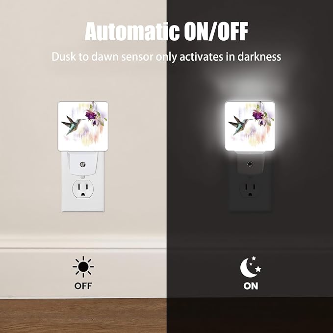 Groovy Hummingbird Flowers Dusk to Dawn Night Light, Auto Sensor Lamp Home Indoor Stairway Kitchen Corridor, Night Lights Plug into Wall Decor, Boys Girls Women Men Room Gifts