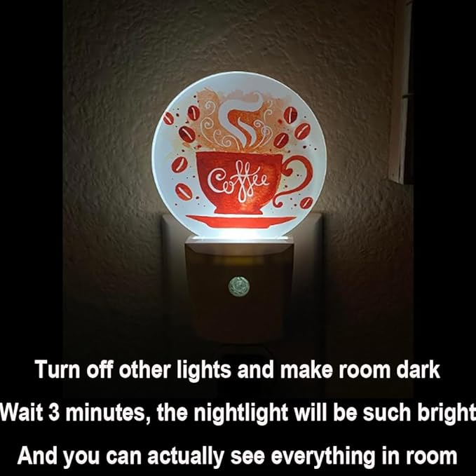 EKOBLA Watercolor Eiffel Tower Night Light Rose Flowers on The Balcony France Paris Landmark Plug-in Nightlights Auto Sensor Plug-in LED Wall Light for Home Bedroom Living Room