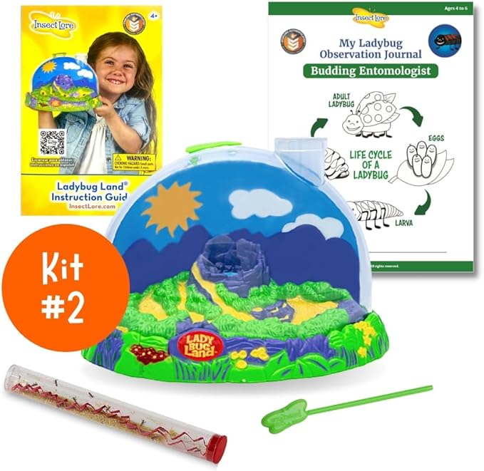 Insect Lore Bug Camp Bundle - Butterfly Kit with 5 Live Caterpillars, Ladybug Land with 1 Tube Live Larvae, Ant Mountain with 1 Tube Live Western Harvester Ants - Bonus Life Cycle Figurines & More