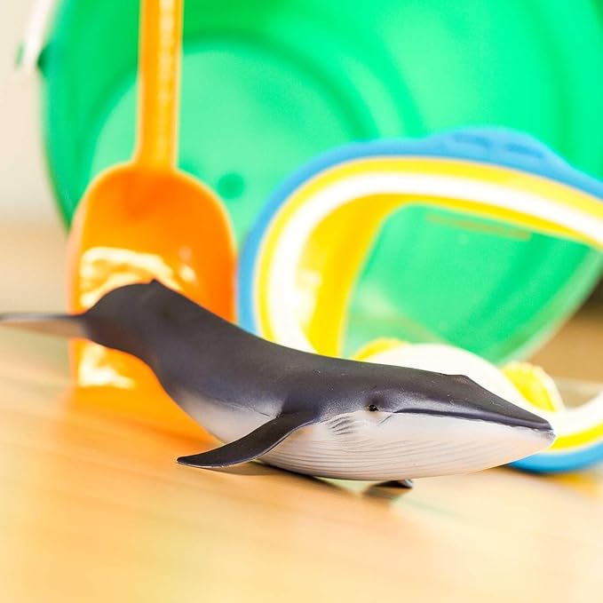 Safari Ltd. Blue Whale Figurine - Detailed 11" Plastic Model Figure - Fun Educational Play Toy for Boys, Girls & Kids Ages 3+