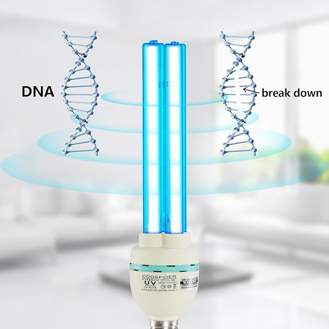 36 Watts UVC Light Bulb, UV Lamp for Basement/Storehouse/Car, E26 110V CTUV-36 (Ozone Free)