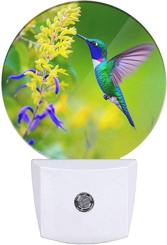 EKOBLA Blue Hummingbird Night Lights Plug into Wall Spring Garden Bird Flowers Plants LED Dusk to Dawn Plug-in Nightlights Auto Sensor for Home Indoor Bathroom Hallway Kitchen