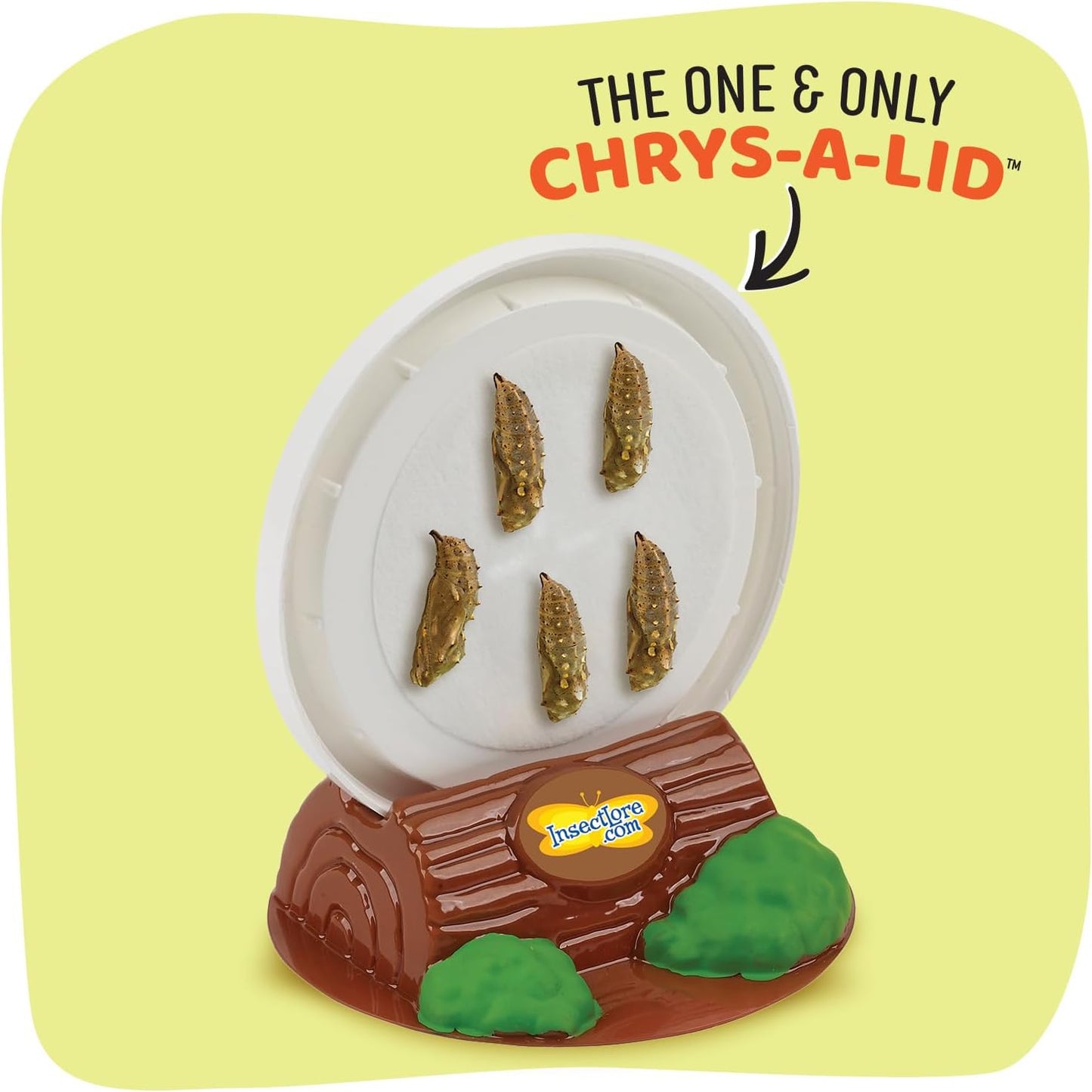 Insect Lore Butterfly Garden Kit with Live Caterpillars – Grow 10 Painted Lady Butterflies - STEM Learning Activity, Habitat with Journal, Stickers, Seeds & Figurines - As Seen on TV