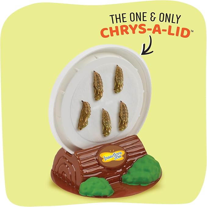 Insect Lore Butterfly Garden Kit with Live Caterpillars – Grow 10 Painted Lady Butterflies - STEM Learning Activity, Habitat with Journal, Stickers, Seeds & Figurines - As Seen on TV