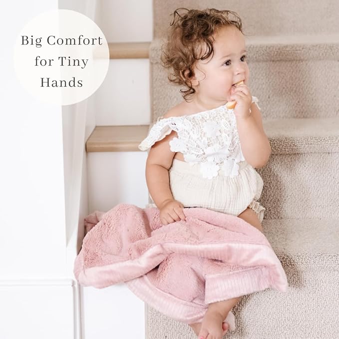 SARANONI Luxury Security Blankets for Babies | Ultra-Soft Lush and Boutique Quality Baby Blanket | Ballet Slipper Pink, Mini - 15" x 20"