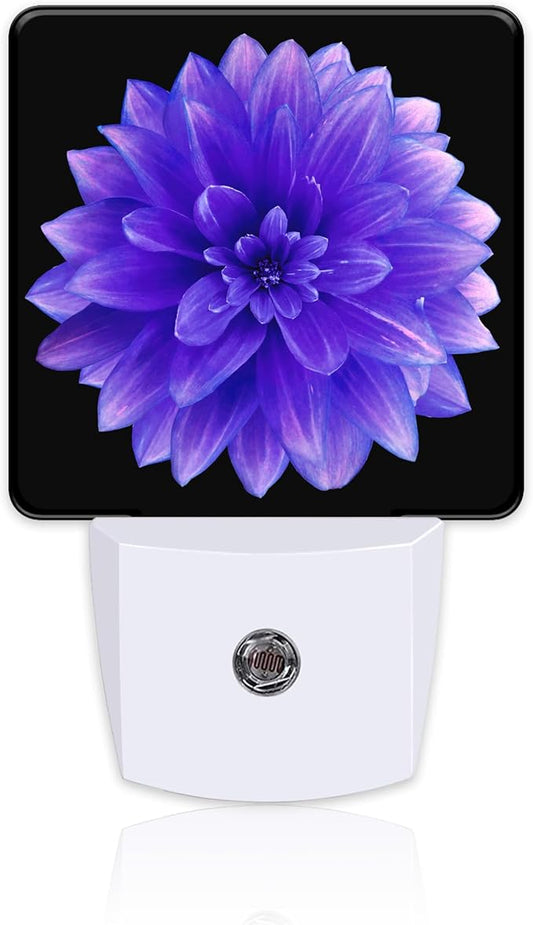 Purple Dahlia Flower Night Light for Kids, Abstract Blooming Floral Night Light Plug in with Dusk to Dawn Sensor, 0.5w Energy Saving Sleep Friendly Nightlight for Hallway Stairway Kitchen Bedroom