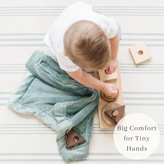SARANONI Luxury Security Blankets for Babies | Ultra-Soft Lush and Boutique Quality Baby Blanket | Eucalyptus, Mini - 15" x 20"