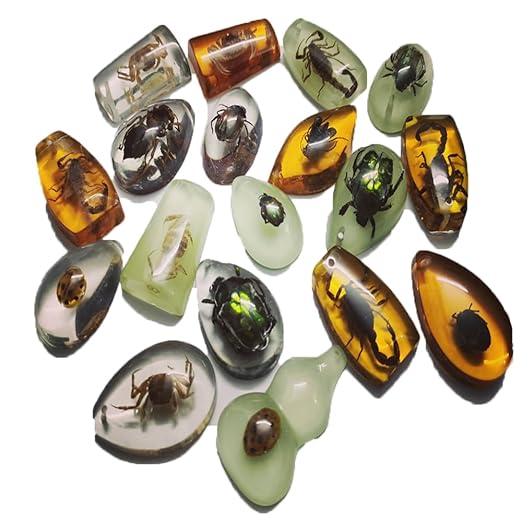 18 pcs Insect Amber Fossils, BOSOIRSOU Fossil Pendants, Different Insect Specimen, Bug Preserved in Resin, Educational and Scientific Amber Collections - Random Patterns