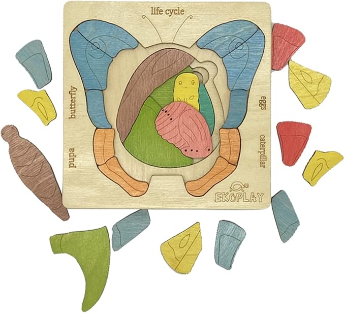 Life Cycle of A Butterfly | 31 Piece Wooden Multilayered Jigsaw Puzzles for Kids | Educational Toy and Gift for Boys & Girls 3 Years and Above