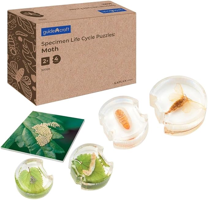 Kaplan Early Learning Specimen Life Cycle Puzzles - Moth
