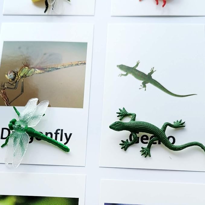 MEROCO Montessori Animal Match - Insect Animal Figurines with Matching Cards Language Montessori Materials Preschool Learning Toy NEWT008
