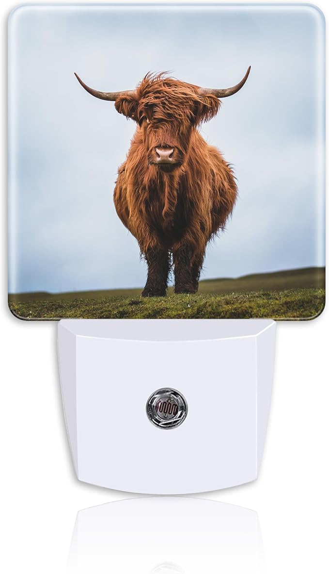 Scottish Highland Cows Night Light for Kids Girls Boys,LED Night Light Plug into Wall with Dusk to Dawn Sensor for Room Decor,Hallway,Kitchen,Bathroom,Nursery,Stairs
