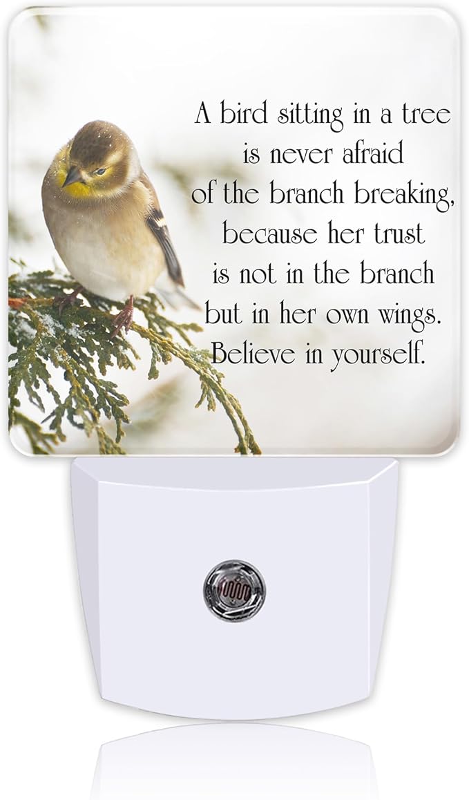 Plug in Night Lights Inspirational Quote on Life Nightlight Plug Into Wall Dusk to Dawn Sensor LED Night Light for Kid Girls Boys Women Room Decor,Hallway,Kitchen,Bathroom,Nursery,Stairs