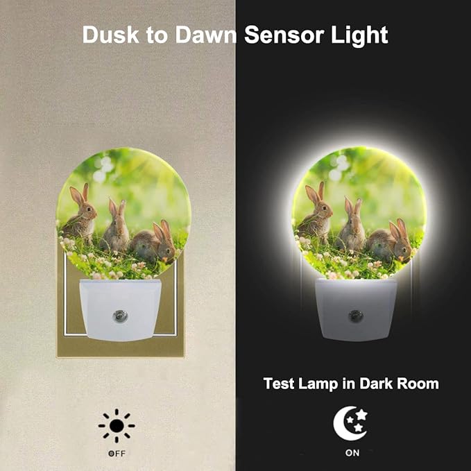 Easter Bunny Nightlight Cute Rabbits in Meadow Plug-in Nightlight Energy Saving 0.5W LED Lighting for Boys Girls Men Women Gift