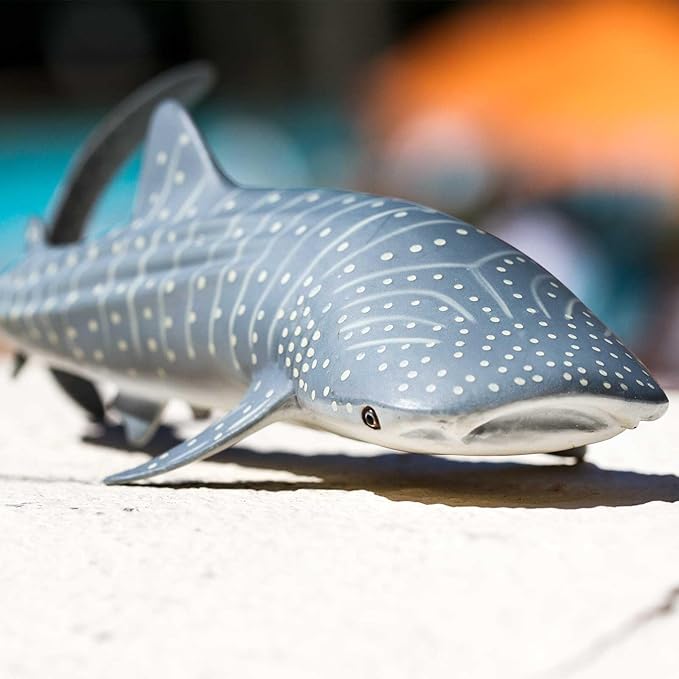 Safari Ltd. Whale Shark Figurine - Detailed 7.25" Aquatic Figure - Educational Toy for Boys, Girls, and Kids Ages 3+