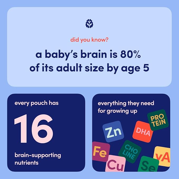 Cerebelly Organic Baby Food Pouches – Organic Purple Carrot Blueberry Pouch Protein, Healthy Fats, Non-Gmo Baby Food Meals 4 Ounce Bpa-Free Toddler Purees, 1 Count