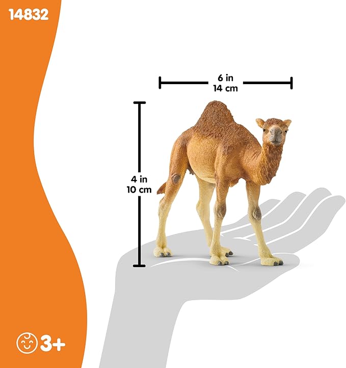 Schleich Wild Life Realistic Dromedary Camel Figurine - Authentic and Highly Detailed Wild Animal Toy, Durable for Education and Fun Play, Perfect for Boys and Girls, Ages 3+, Multicolor, 3.9 inch