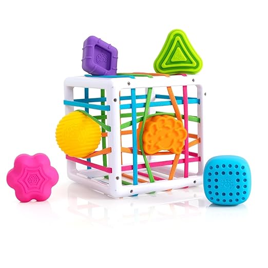 Fat Brain Toys InnyBin Shape Learning Toys, Sensory Toys for Babies and Toddlers, Baby Toys Ages 10 Months+